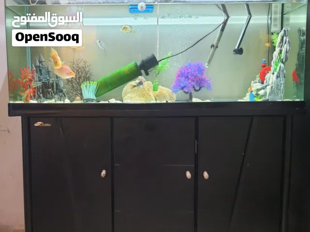 حوض سمك كبير 120 سم