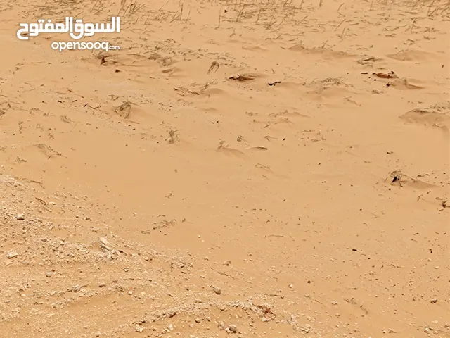 أرض للبيع بالمتر ، وبالهكتار