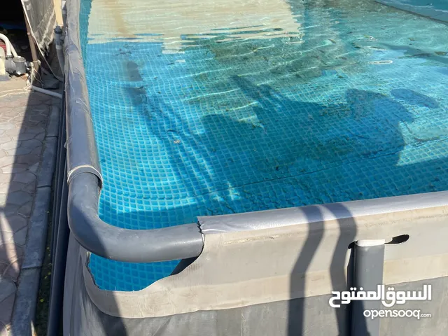عجمان الرقايب