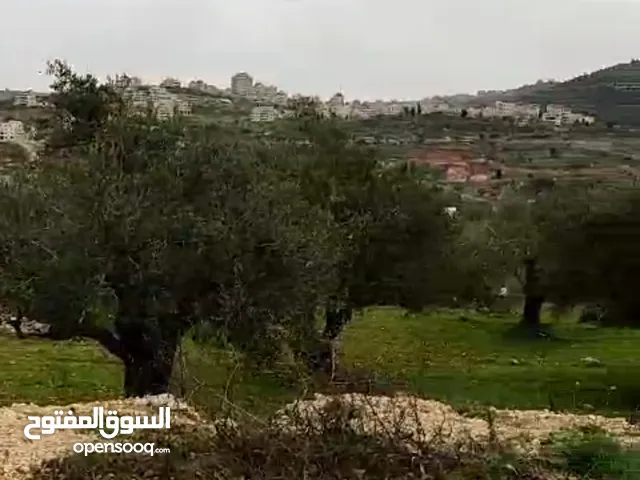 Residential Land for Sale in Ramallah and Al-Bireh Kafr Ni'ma