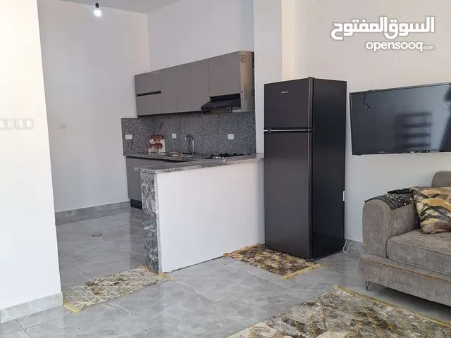 منازل واسترحات مش ناقصها شي للايجار اليومي