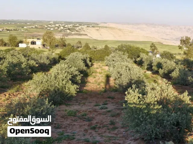 Farm Land for Sale in Madaba Thiban