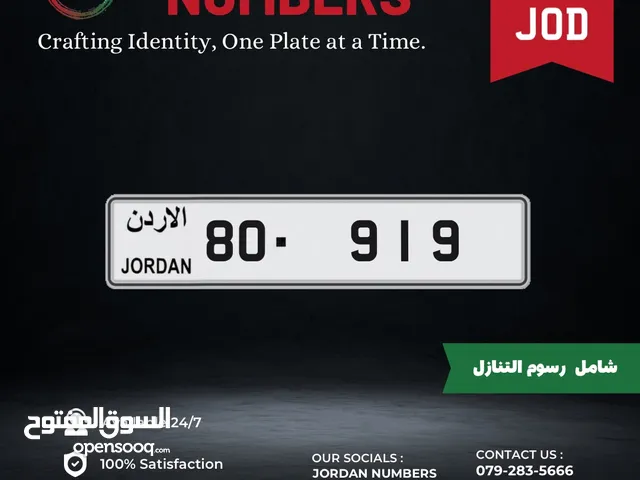 80 - 919 .
