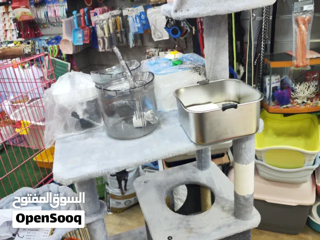 خداشه قطط جدا مميزه خشب بالكامل احضر الرز لتشوف الجماليه الكامله انتاج 2026