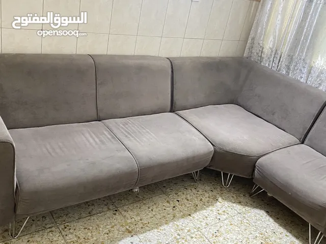 تخم لون رصاصي