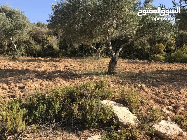 ارض مميزة للبيع في بلدة جوريش - عقربا ( ألبيع بسبب السفر)