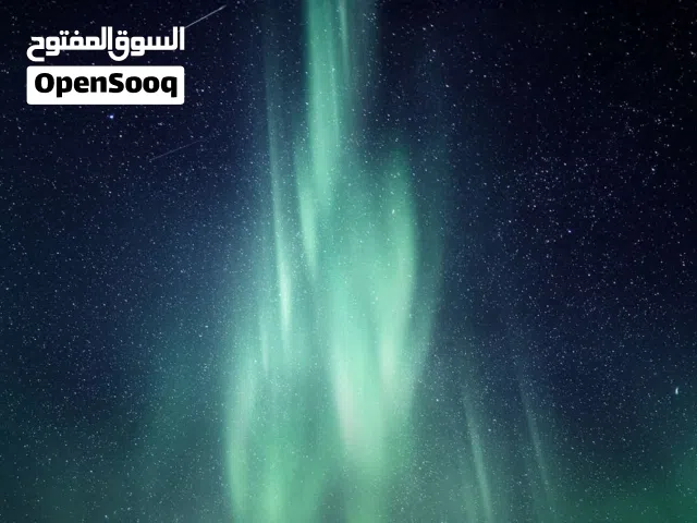 مطلوب سيرية اوزيل اي نسخة