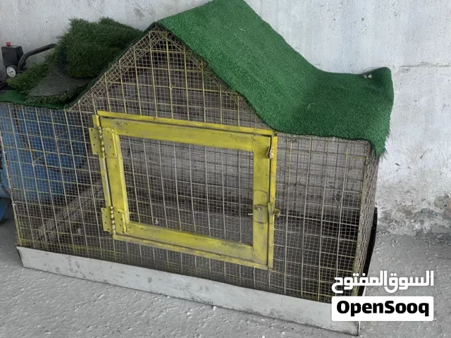 قفص صقر للبيع