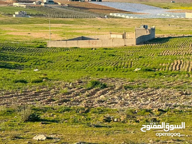 قطعة ارض 20 دونم جنوب عمان قرية زينب حوض الرواق  تقع على الشارع الرئيسي للمنطقة داخل التنظيم