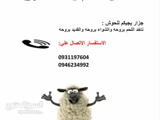 الحجز الاول الاول نجيك