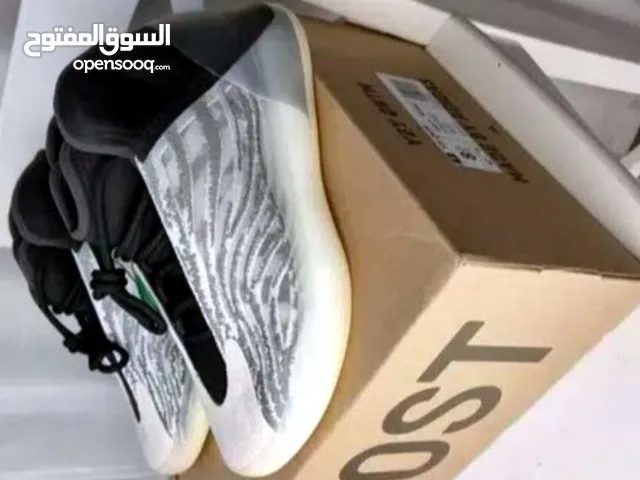 Adidas Sport Shoes in Al Ahmadi