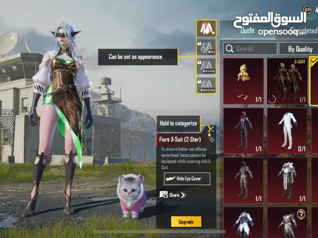 Pubg Accounts and Characters for Sale in Muhayil