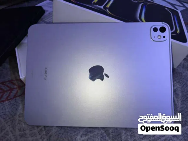 Apple Others 256 GB in Basra