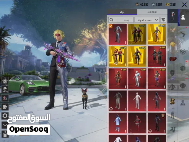 Pubg Accounts and Characters for Sale in Al Dhahirah