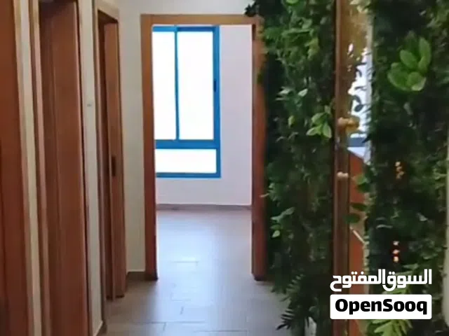 ابو مدحت جرادات