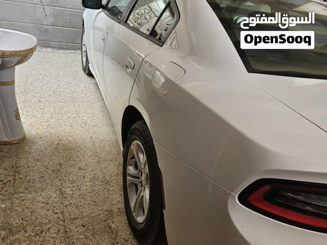 دوج جالجر 16 وارد امريكي