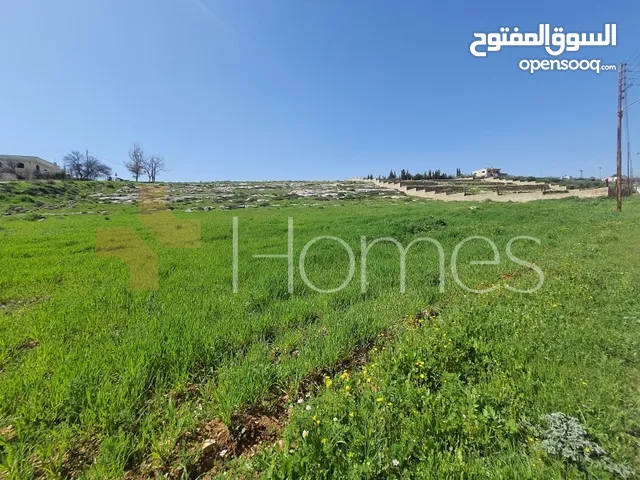 Residential Land for Sale in Amman Naour