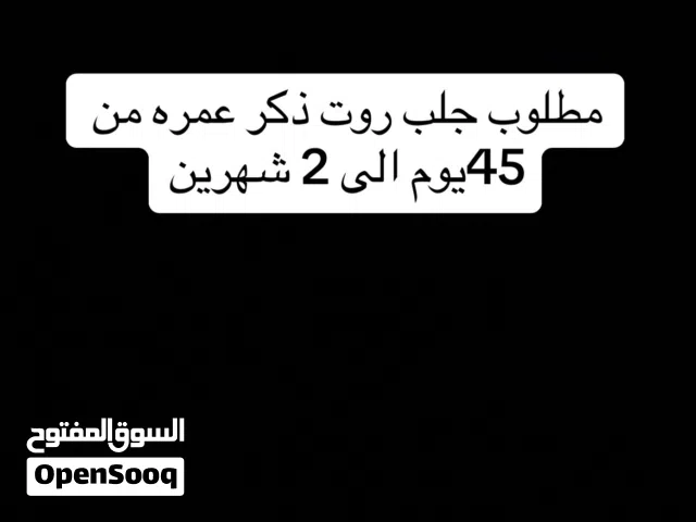 جلب روت عمره من 45 يوم الى شهرين