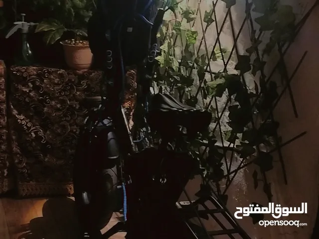 بسكليت كهرباء