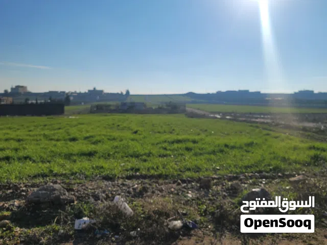 Residential Land for Sale in Amman Naour