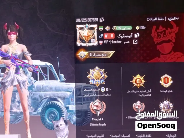 Pubg Accounts and Characters for Sale in Damascus