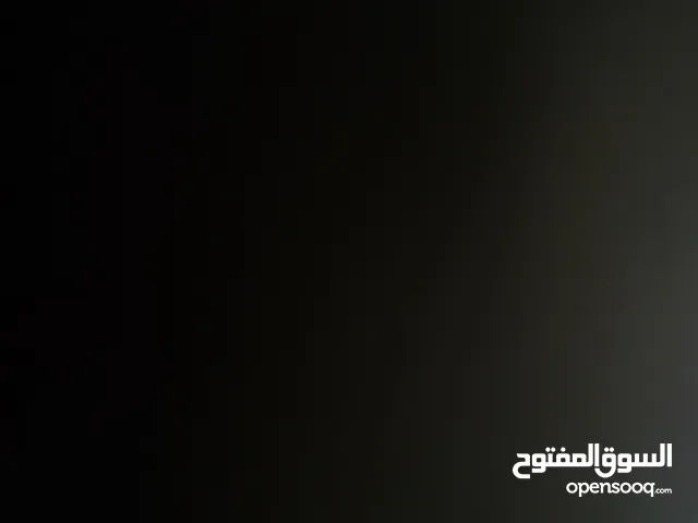 محمد  جمال