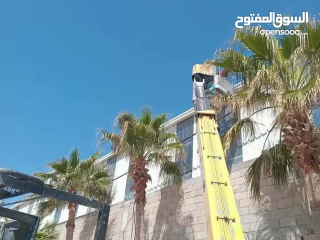 العناية بأشجار النخيل و الأشجار الحرجية و نباتات الزينة