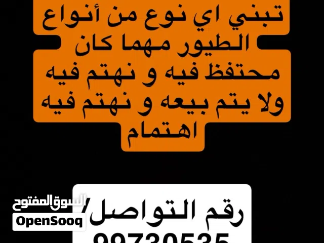 تبني اي نوع من أنواع الطيور