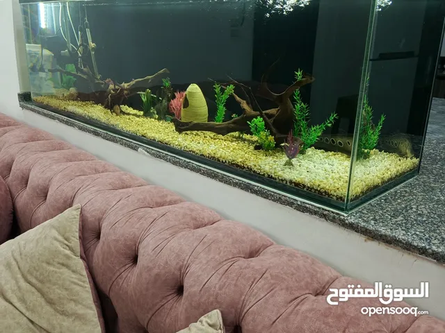 حوض سمك عملاق للبيع مع كامل اغراضو جاهز للاستخدام اقرأ الوصف