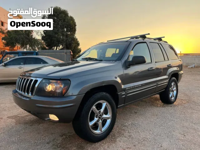 ستار كوفني خلفي جديد جيب نمر كرستال