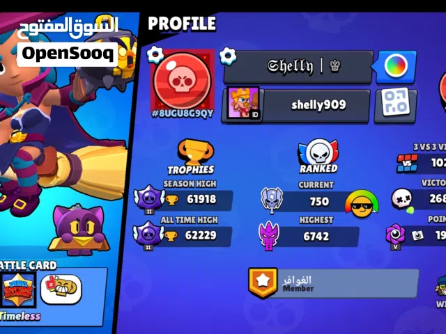 Accounts - Others Accounts and Characters for Sale in Al Dhahirah