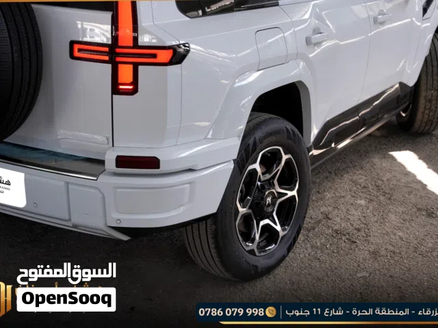 2026 دونج فينج اخرى