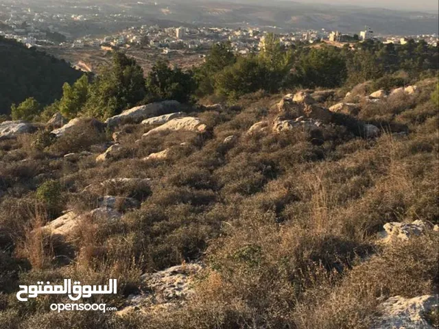 Residential Land for Sale in Ramallah and Al-Bireh Dayr Ibzi'
