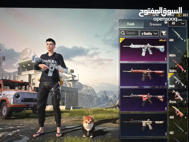 Pubg Accounts and Characters for Sale in Northern Governorate