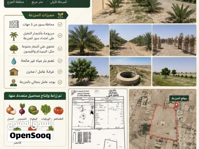 Farm Land for Sale in Al Sharqiya Sinaw