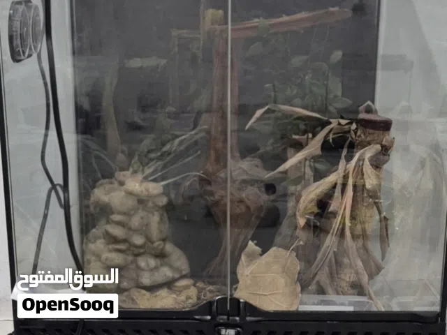 مجموعة احواض زواحف