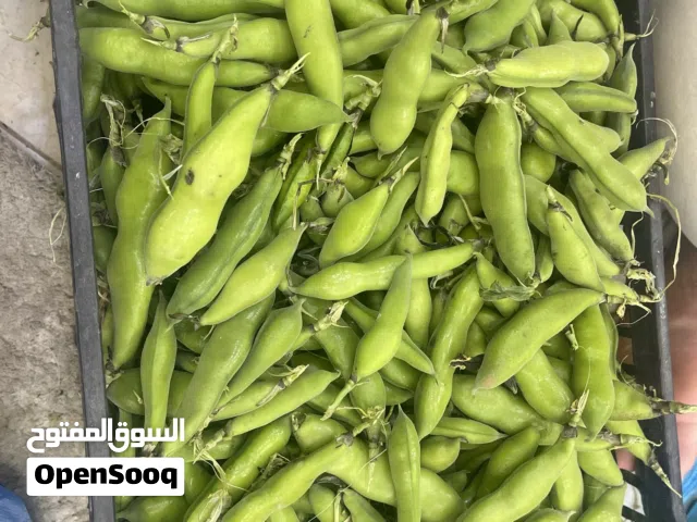 فول وبازيلا حب للبيع