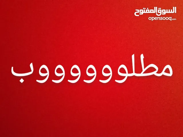 مطلوب مطير عصافير في اربد