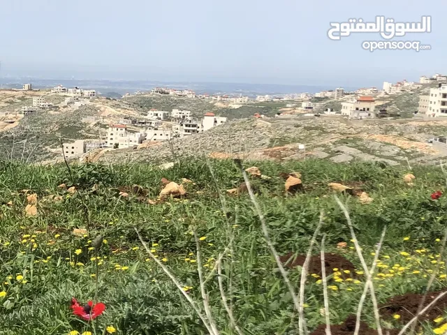 ارض ذات إطلالة جميلة جدا مطلة على الغرب و الساحل الفلسطيني