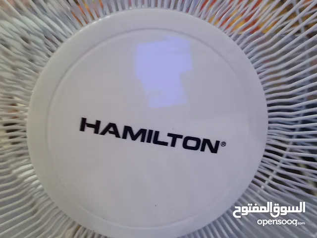 hamilton dan