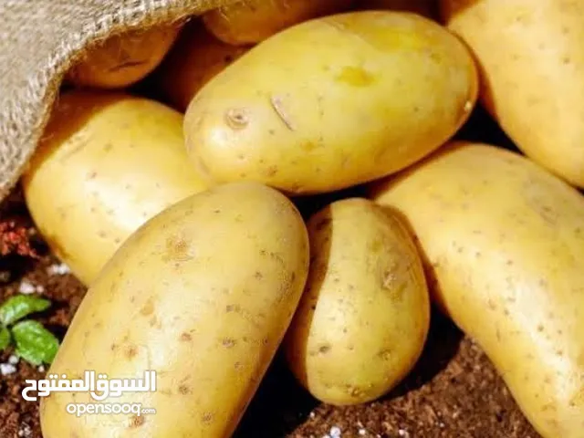 بطاطا إيرانية درجة أولى