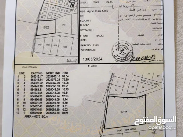 Farm Land for Sale in Al Batinah Al Masnaah