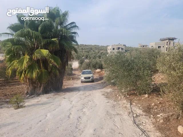 حصة 700 متر بالمسقوفة