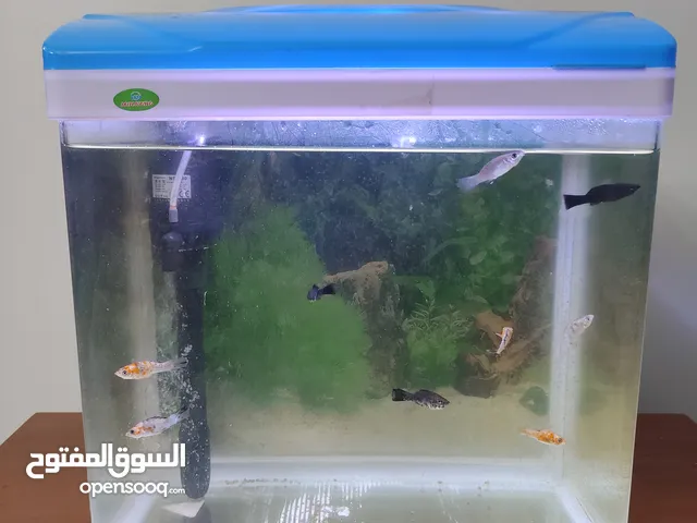 حوض سمك متكامل في حالة ممتازة