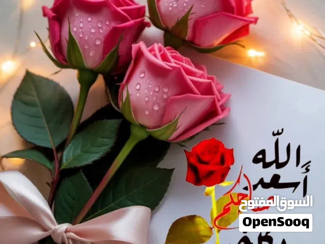 Farm Land for Sale in Mafraq Al-Badiah Ash-Shamaliyah Al-Gharbiya