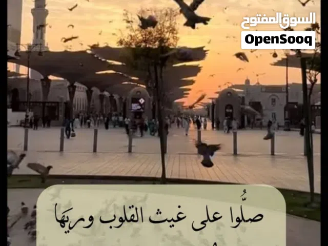 توصيل مشاوير وطلبات صنعاء  وتوصيل مشاوير خط طويل