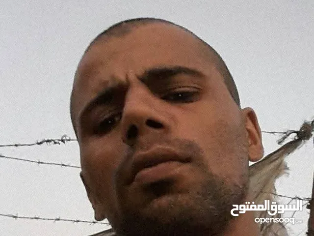 شعبان محمود عويصي