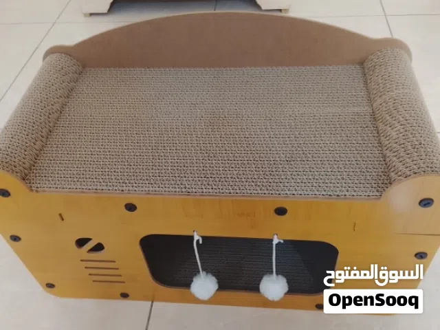 cat house and bed and scratcher