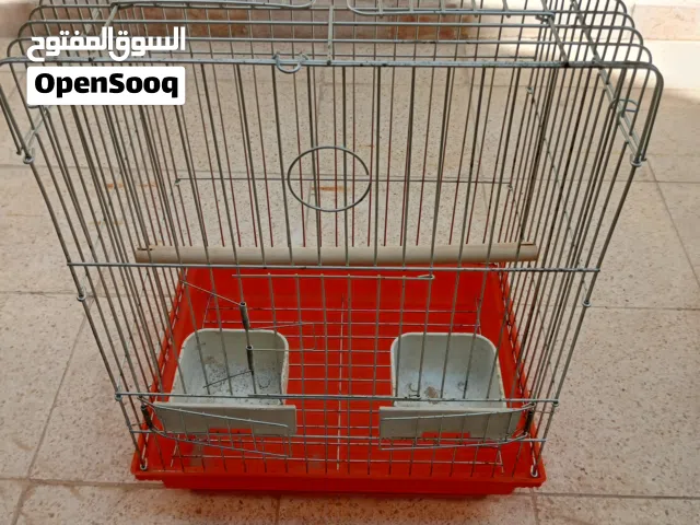 موجود اقفاص ببغاء وعصافير للبيع بحالة جيدة جدا