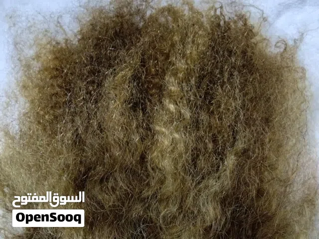 شعر طبيعي صبغ سشوار غسل كوي ضمن مدى الحياة شرط لفحص